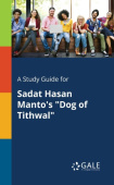 Study Guide for Sadat Hasan Manto's "Dog of Tithwal"