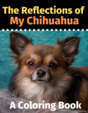 Reflections of My Chihuahua