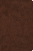 ESV Holy Bible