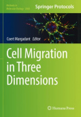 Cell Migration in Three Dimensions
