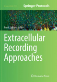 Extracellular Recording Approaches