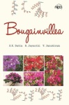 Bougainvillea