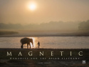 Magnetic
