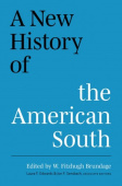 New History of the American South