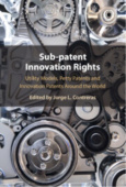 Sub-patent Innovation Rights