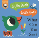 Little Duck! Little Duck! What Can You See?