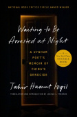 Waiting to Be Arrested at Night
