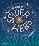 Secret World of Spider Webs