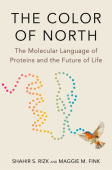 Color of North