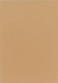 Beaks