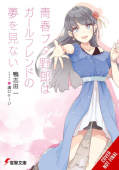 Rascal Does Not Dream of His Girlfriend (light novel)