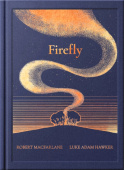 Night Creatures: Firefly – A Guardian Book of the Year