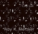 Ray K. Metzker: City Lux