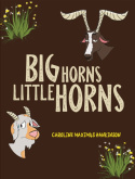 Big Horns Little Horns