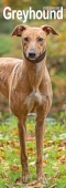 Greyhound Slim Calendar 2026  Dog Breed Slimline Calendar - 12 Month