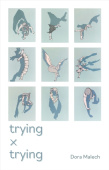 Trying x Trying