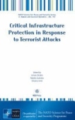 Critical Infrastructure Protection in Response to Terrorist Attacks