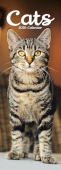 Cats Slim Calendar 2026  Cute Slimline Calendar - 12 Month