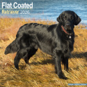 Flatcoated Retriever Calendar 2026  Square Dog Breed Wall Calendar - 16 Month