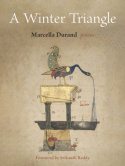 Winter Triangle