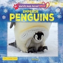 Emperor Penguins