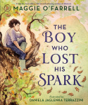 Boy Who Lost His Spark
