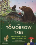 Tomorrow Tree