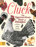 Cluck!