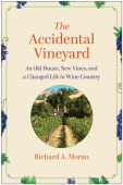 Accidental Vineyard