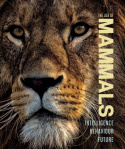 Age of Mammals