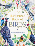 Illuminated Book of Birds