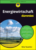 Energiewirtschaft fur Dummies