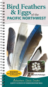 Bird Feathers & Eggs of the Northwest