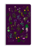 Anna Stead: For Spells & Potions (Soft Touch Journal)