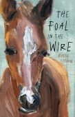 Foal in the Wire