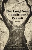 Long Now Conditions Permit