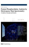 Protein Phosphorylation Analysis by Electrospray Mass Spectrometry