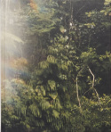 La Soufriere