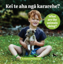 Kei te aha nga kararehe? What are the animals doing?
