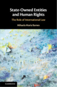 State-Owned Entities and Human Rights