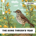 Song Thrush's Year