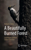 Beautifully Burned Forest