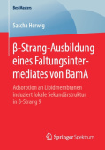 Ăź-Strang-Ausbildung eines Faltungsintermediates von BamA
