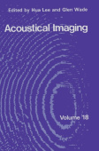 Acoustical Imaging