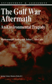 Gulf War Aftermath