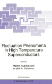Fluctuation Phenomena in High Temperature Superconductors