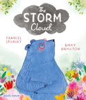 Storm Cloud
