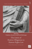 Limits of Positive Obligations in Human Rights Law