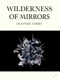 Wilderness of Mirrors