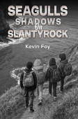 Seagulls Shadows on Slantyrock
